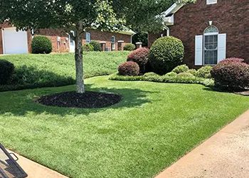 Seneca SC Lawn Services