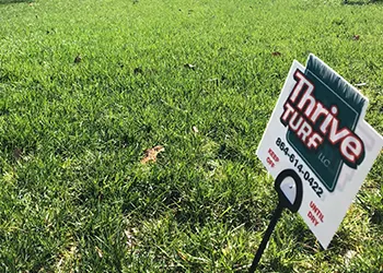 Thrive Lawn Care Seneca-SC
