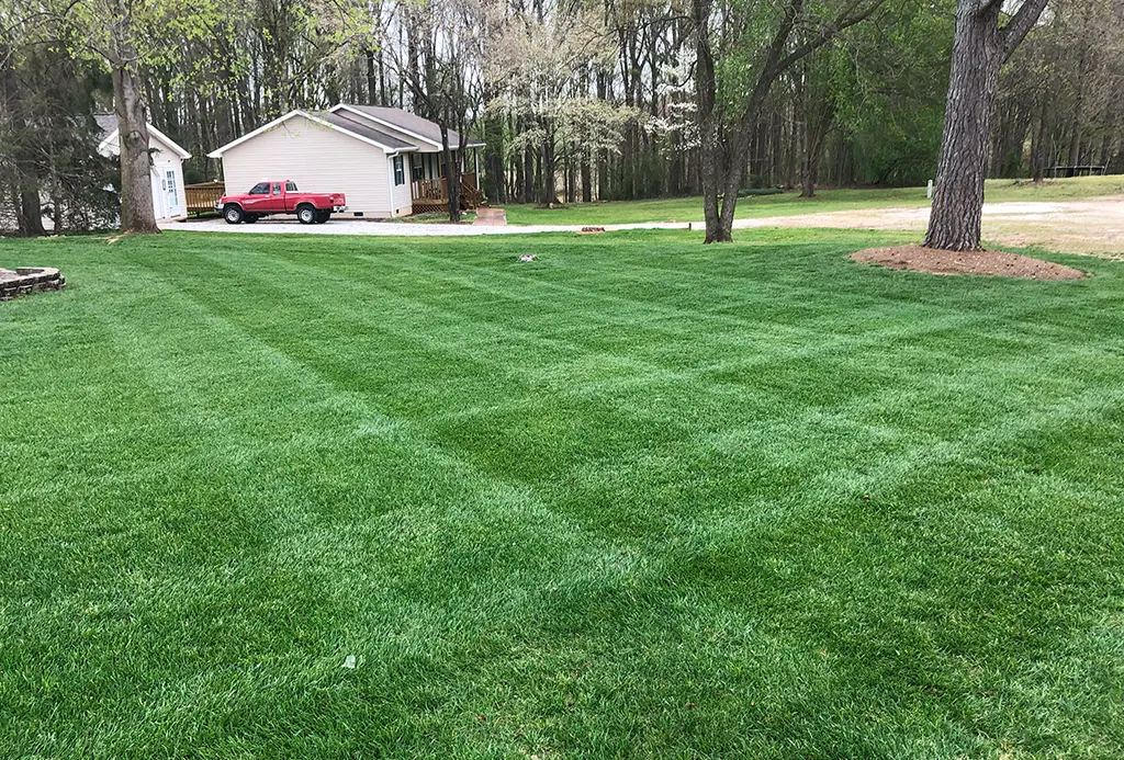 Thrive-Turf-Seneca-Slide1