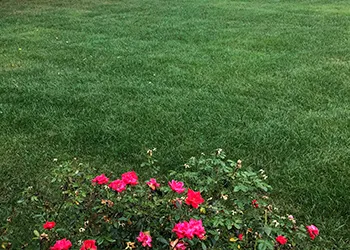 Seneca South Carolina Lawn Company